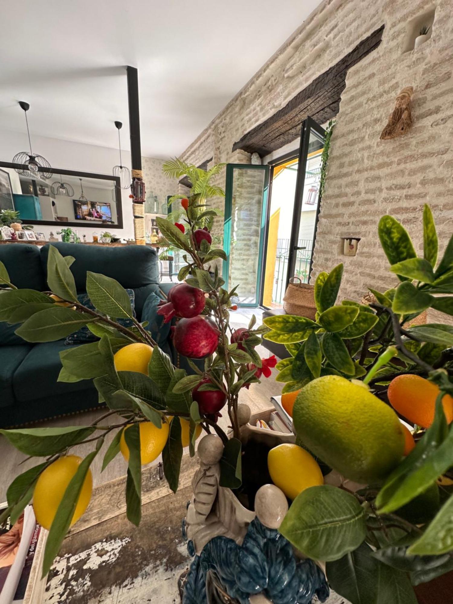 Casa Duque Compartida Familiar 1-Habitacion Con Bano Propio 세비야 외부 사진