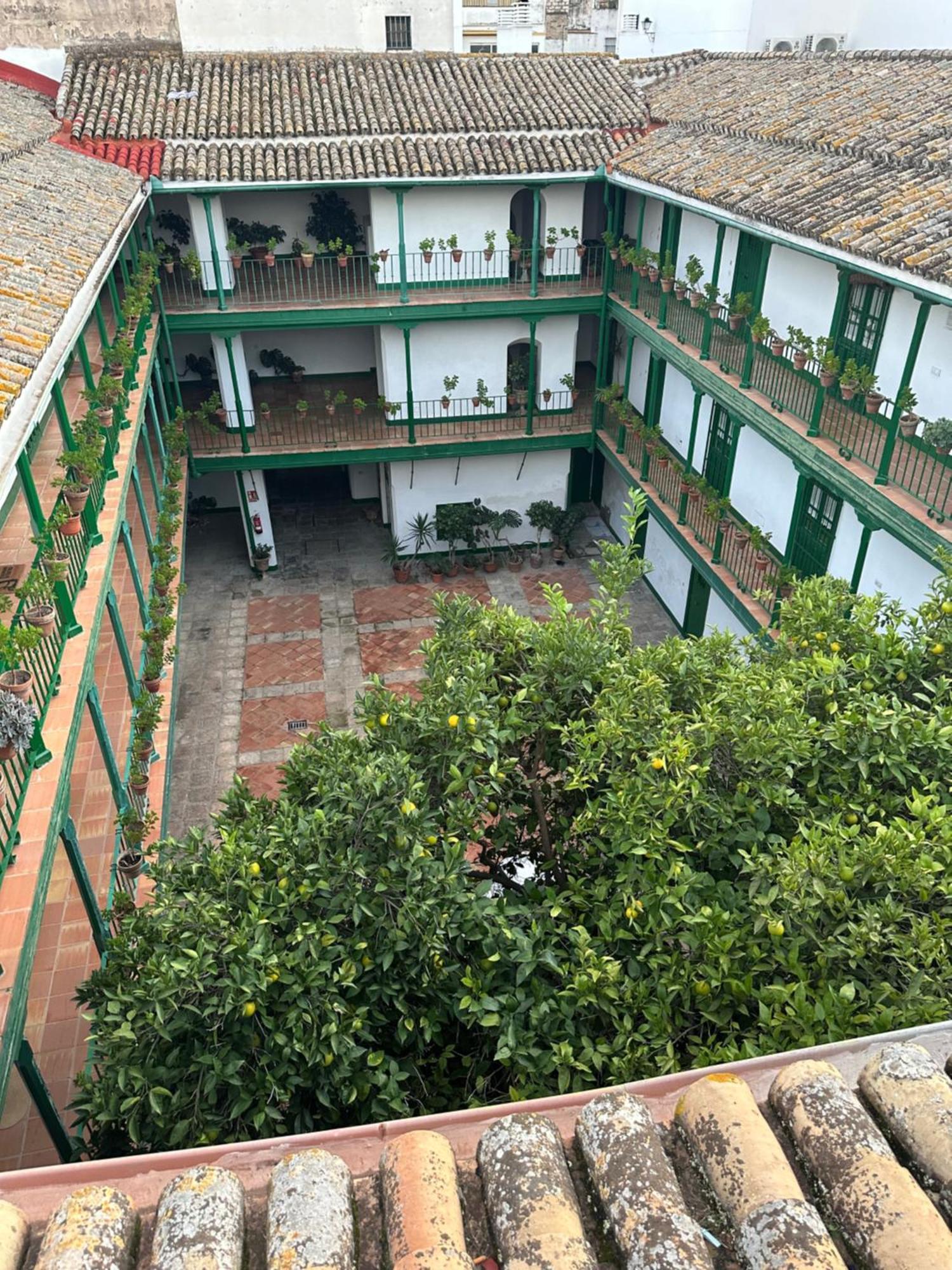 Casa Duque Compartida Familiar 1-Habitacion Con Bano Propio 세비야 외부 사진
